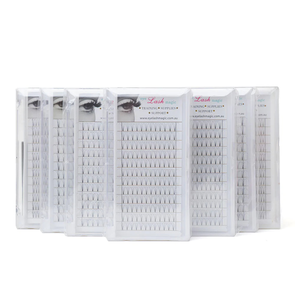 Lash Trays