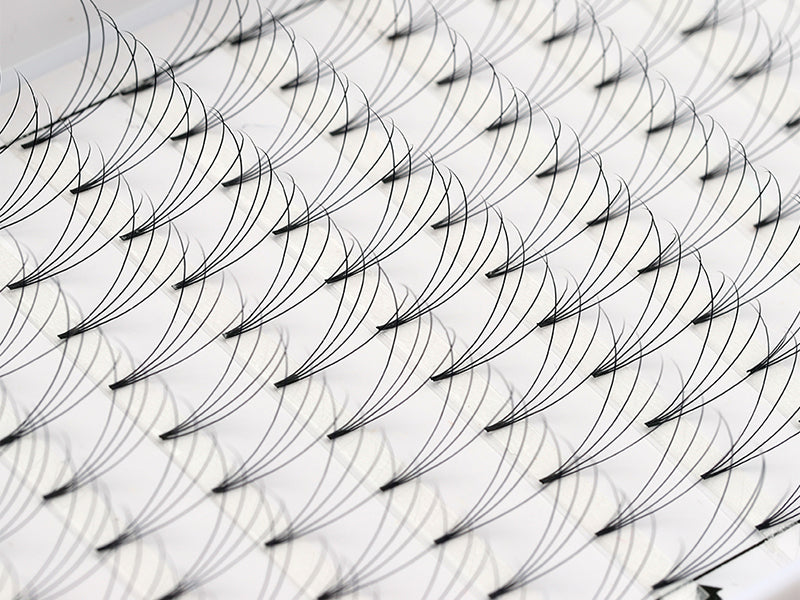 4D Lash Trays - Short Stem