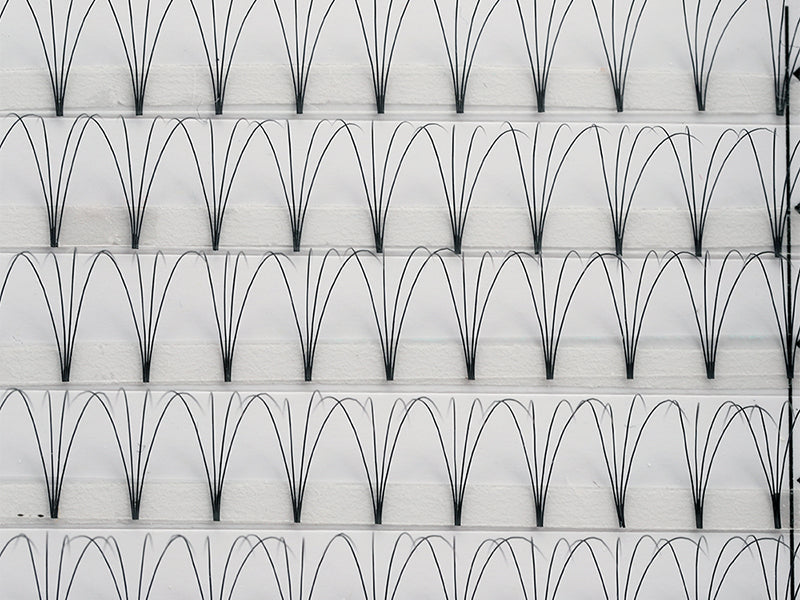 4D Lash Trays - Short Stem