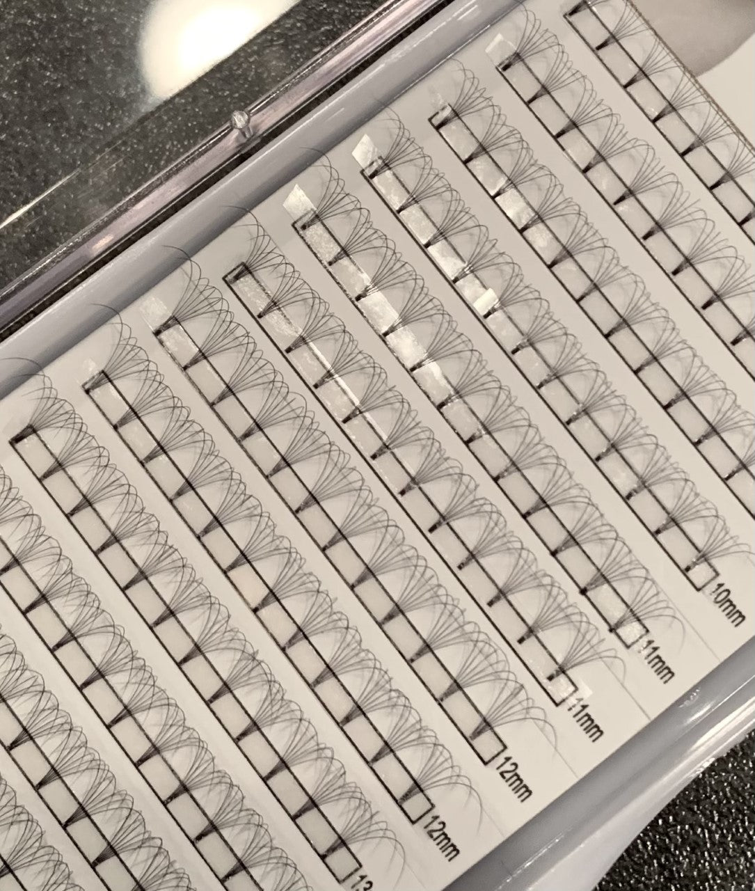 6D Lash Trays - Short Stem