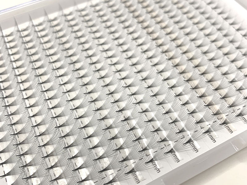 XL Lash Trays