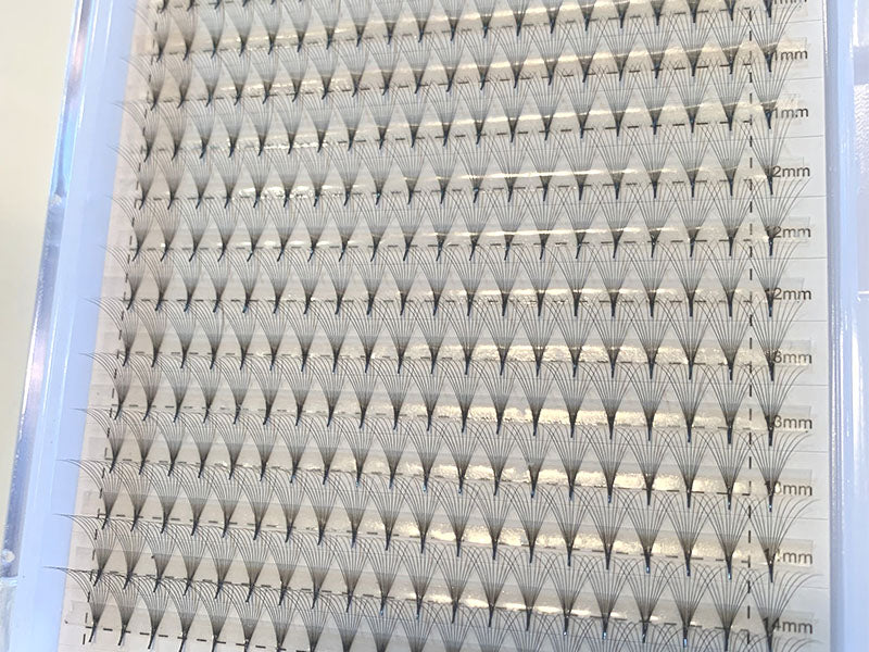 XL Lash Trays