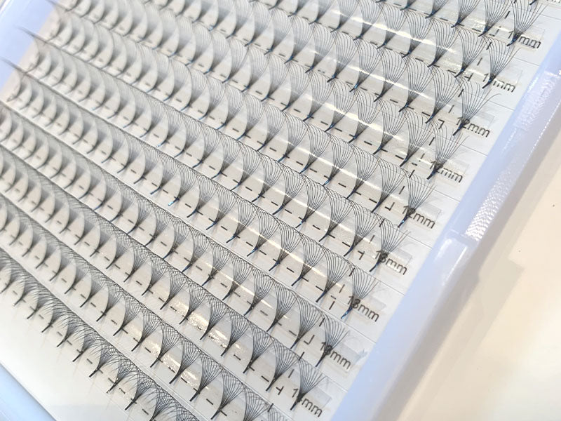 XL Lash Trays