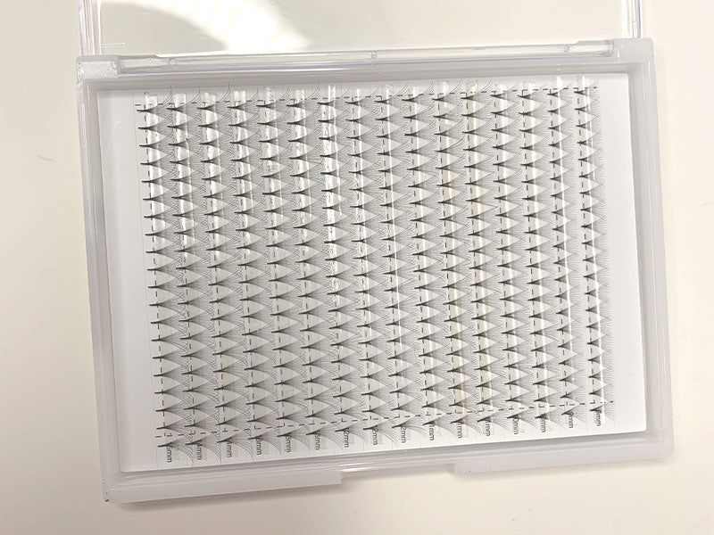XL Lash Trays